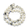 Natural Rainbow Moonstone Beads Strands G-I376-A34-01-2