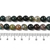 Natural Indian Agate Beads Strands G-A248-A01-02-5