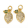 Brass Micro Pave Cubic Zirconia Charms X-ZIRC-L093-18G-1