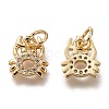 Brass Micro Pave Clear Cubic Zirconia Charms ZIRC-B002-48G-1
