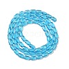 Transparent Glass Beads Strands GLAA-Z018-C23-2
