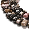 Natural Rhodonite Beads Strands G-Q167-B07-01-4