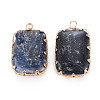 Natural Sodalite Pendants G-S359-290A-2