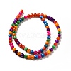 Dyed Natural Freshwater Shell Beads Strands X-SHEL-G014-05D-01-2