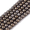 Baking Paint Glass Pearl Beads Strands DGLA-ZX001-05A-20-1