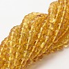 Natural Amber Beads Strands G-Q1006-01B-1