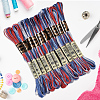 10 Skeins 6-Ply Polyester Embroidery Floss OCOR-CY0004-38J-3