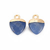 Natural Blue Aventurine Charms G-N326-121-06-2