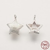 925 Sterling Silver Charms STER-K029-12MS-3