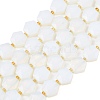 Opalite Beads Strands G-G144-A06-01-2