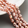 Natural Cultured Freshwater Pearl Beads Strands PEAR-P062-28C-2
