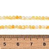 Natural Yellow Shell Beads Strands SHEL-M021-03A-4