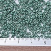 MIYUKI Round Rocailles Beads X-SEED-G007-RR2028-4