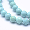 Natural Howlite Beads Strands X-TURQ-G148-07-8mm-3