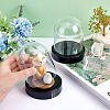   2Pcs Plastic Display Bases with 2Pcs Glass Dome Covers AJEW-PH0004-31-3