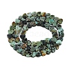 Natural African Turquoise(Jasper) Beads Strands G-M403-A26-02-3