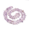 Natural Amethyst Chip Bead Strands G-M205-35-1-3