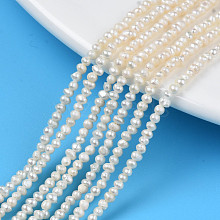 Natural Cultured Freshwater Pearl Beads Strands PEAR-N013-02H