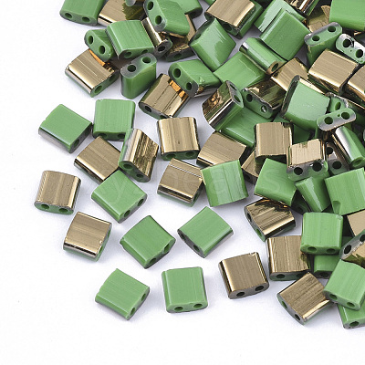 FGB 2-Hole Glass Seed Beads X-SEED-S031-L-047-G-1