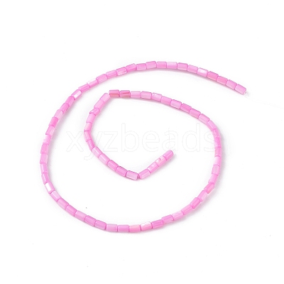 Natural Freshwater Shell Dyed Beads Strands SHEL-M018-12-10-1