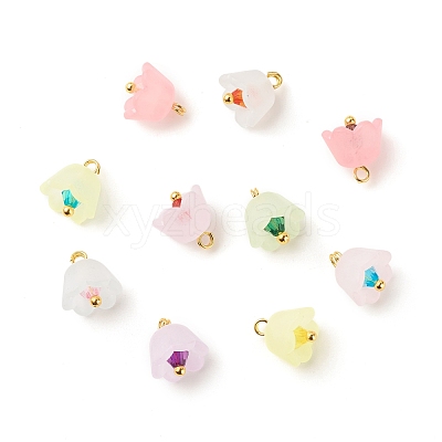 Transparent Acrylic Charms PALLOY-JF01603-02-1
