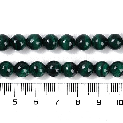 Natural Malachite Beads Strands G-F461-05-8mm-1