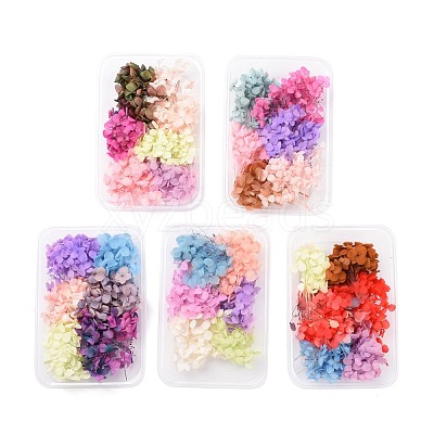 Dried Flowers DIY-D052-17-1