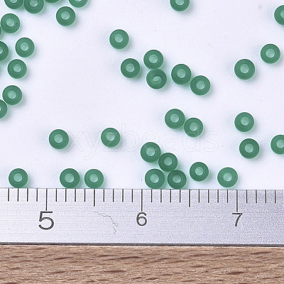MIYUKI Round Rocailles Beads X-SEED-G007-RR0147F-1