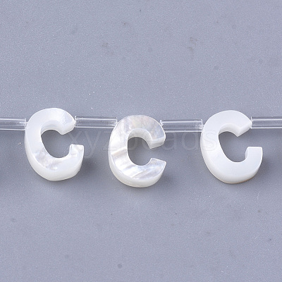 Natural Sea Shell Beads SHEL-T012-60C-1