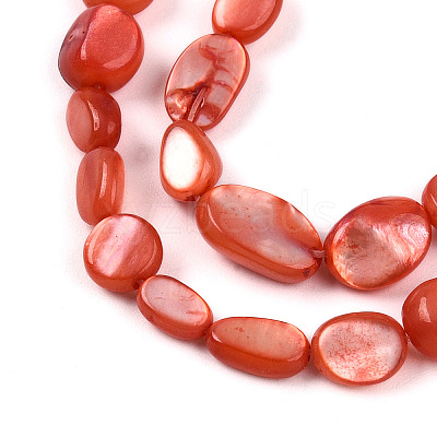 Natural White Shell Beads Strands SHEL-N036-21F-1