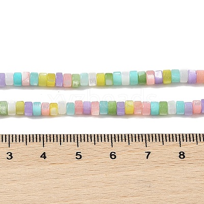 Natural Trochid Shell/Trochus Shell Beads Strands BSHE-H018-04-1