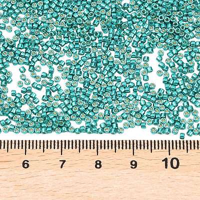 MIYUKI Delica Beads SEED-MY11-DB2506-1