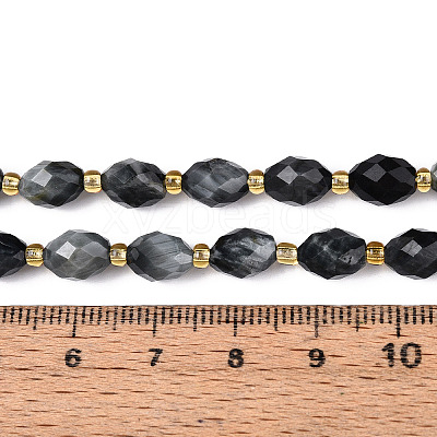 Natural Eagle Eye Stone Beads Strands G-N342-35-8x6-03-1