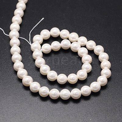 Shell Pearl Beads Strands X-BSHE-E008-6mm-12-1