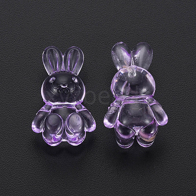 Transparent Acrylic Beads LS-MACR-S373-81-B05-1
