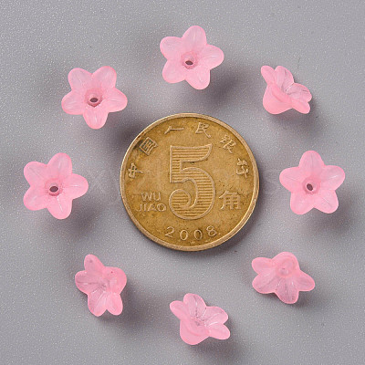 Transparent Acrylic Beads PL554-03-1