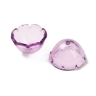 Transparent Acrylic Bead Caps OACR-Z030-03A-1