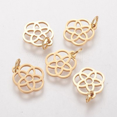 304 Stainless Steel Pendants STAS-Q201-T454G-1