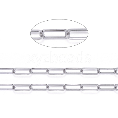 Tarnish Resistant 304 Stainless Steel Paperclip Chains CHS-F011-01A--P-1