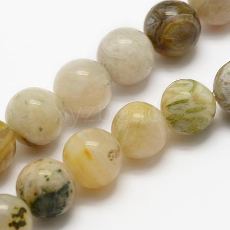 Natural Bamboo Leaf Agate Beads Strands G-K194-8mm-01-1