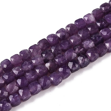 Natural Lepidolite Beads Strands G-N342-138A-1