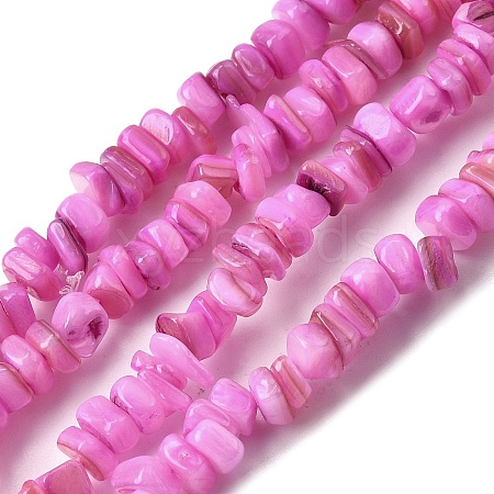 Natural Freshwater Shell Beads SHEL-B003-01F-1