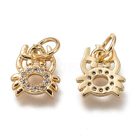 Brass Micro Pave Clear Cubic Zirconia Charms ZIRC-B002-48G-1