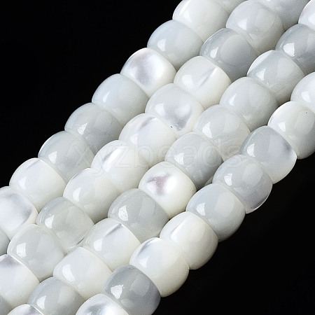 Natural Trochid Shell/Trochus Shell Beads Strands SSHEL-S266-018A-01-1