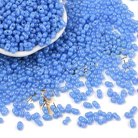 Baking Paint Glass Seed Beads SEED-L011-09A-05-1