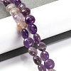 Natural Amethyst Beads Strands G-T047-A04-01-2