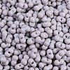 Baking Paint Glass Seed Beads X1-SEED-K010-A04-2