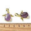 Natural Amethyst Pendants KK-F888-01G-19-3