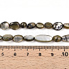 Natural White Shell Beads Strands SHEL-N036-21A-4