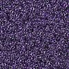 MIYUKI Round Rocailles Beads X-SEED-G007-RR0223-3